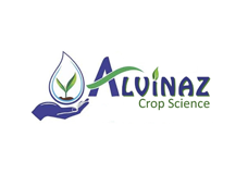 logo17